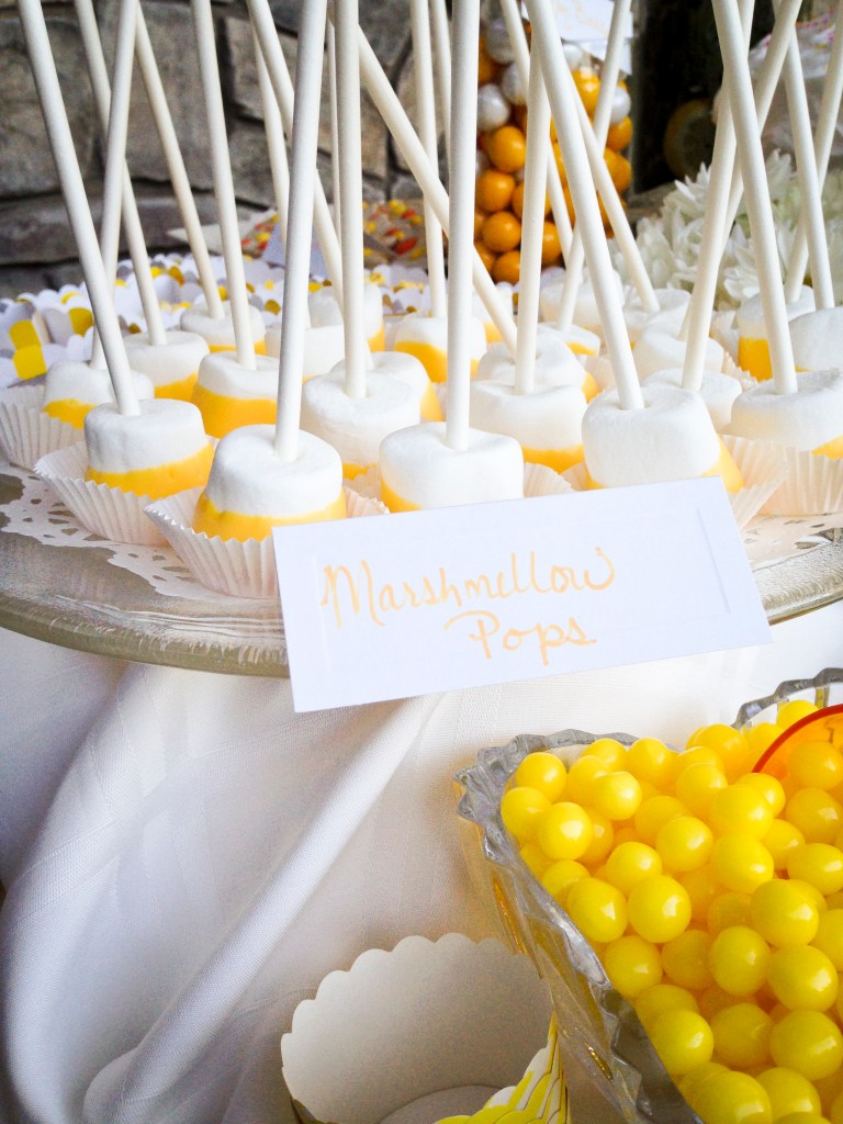 Candy-dipped Marshmallows