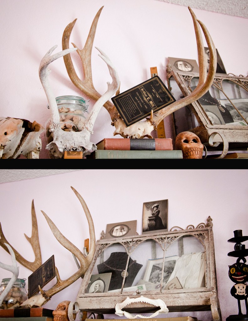 Look deeper into the shelves…