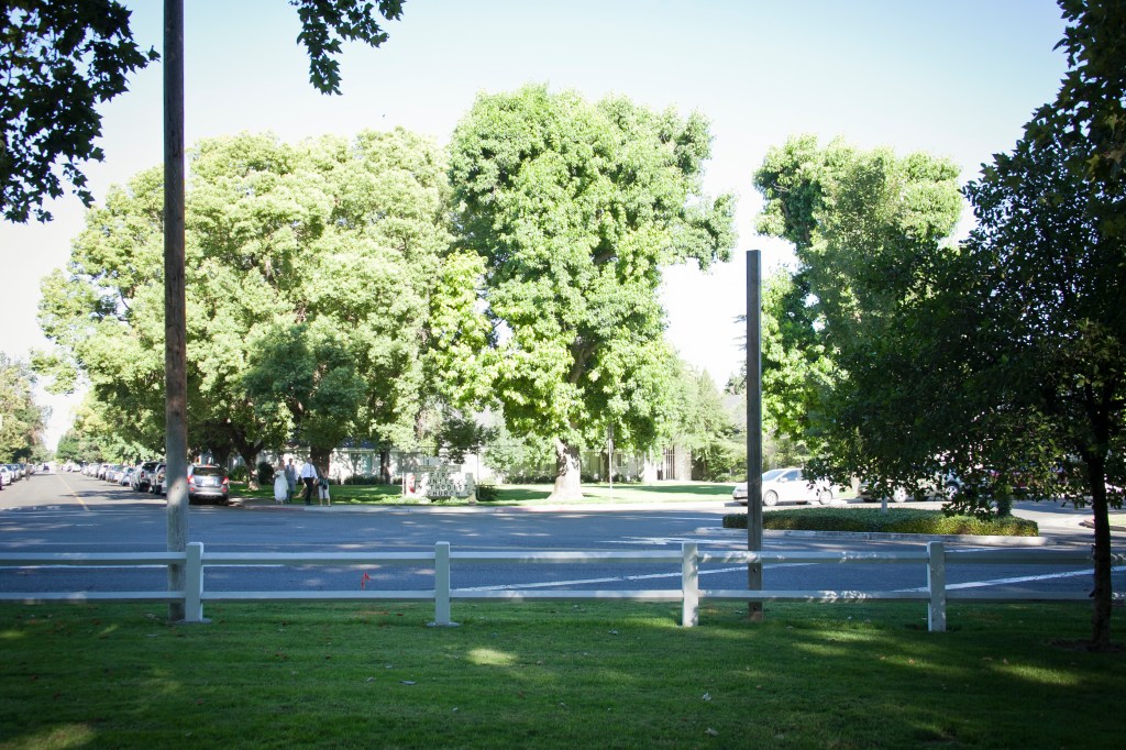 The neighborhood was beautiful and the church was directly across the street from Jill's parent's house. They had the reception in the house Jill grew up in. 