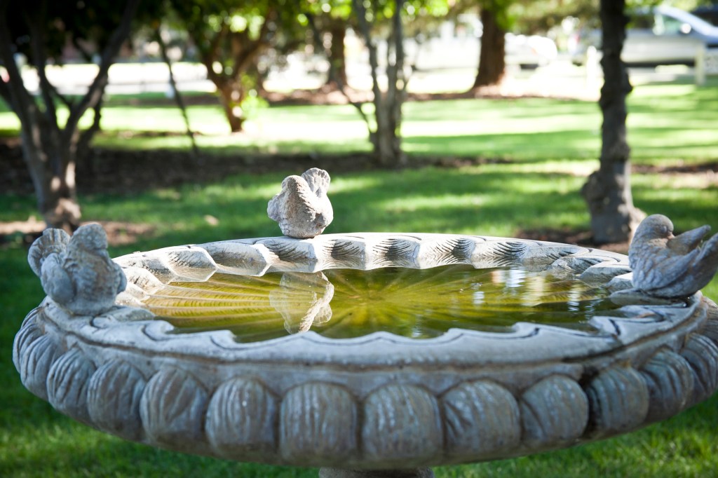 How cute is this bird bath? 