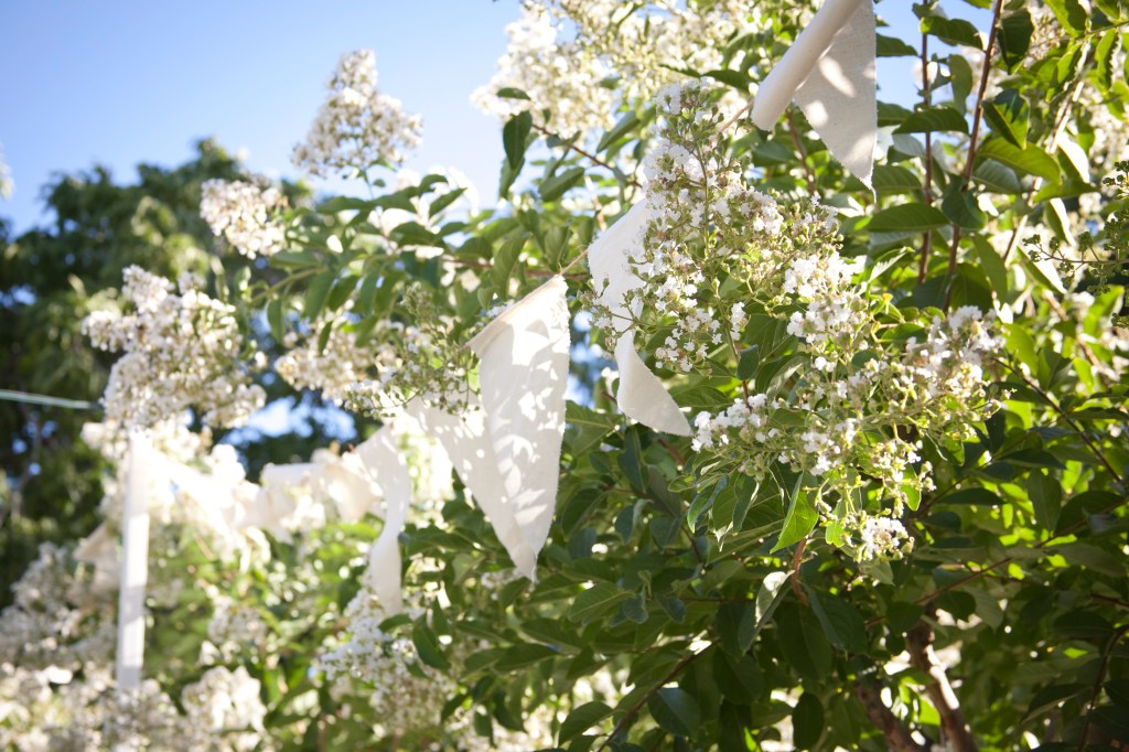 Flags in the trees set a sweet and casual perimeter.