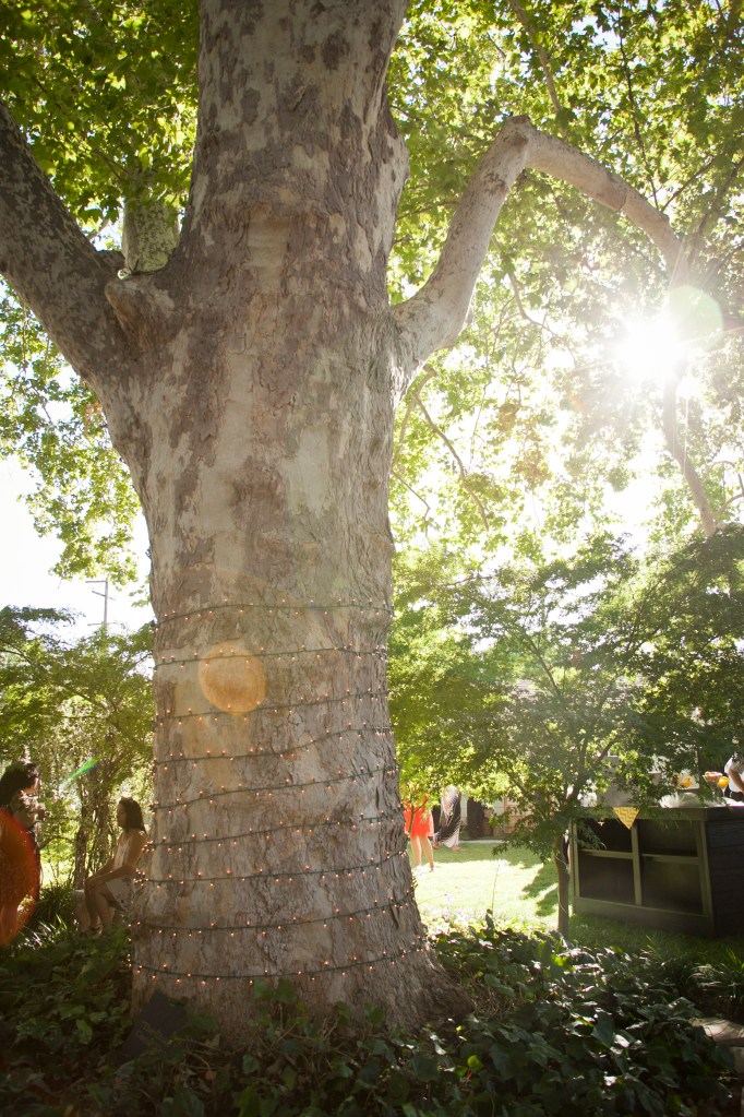 All the trees had lights and touches of lights for after hours when the yard became magical.