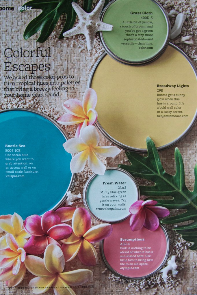 Speaking of color! Ok, I've decided I want to paint my office white and fill it in with these colors! Or just go to Hawaii! How darling are they?!