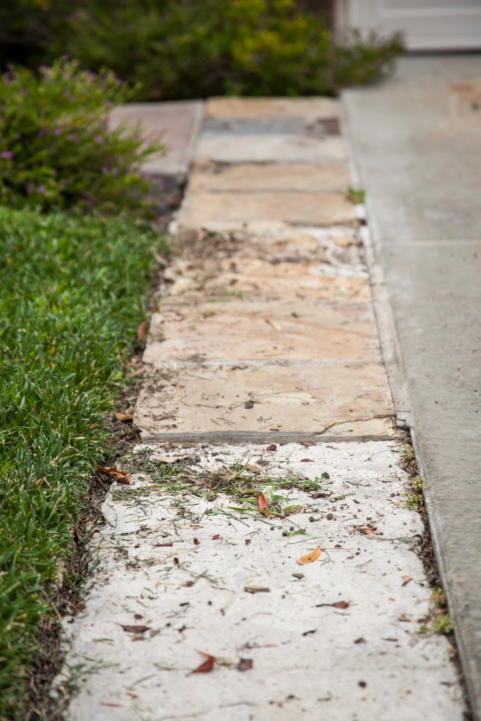 Both sides of the drive look this bad. You should see our walkway too. That's another post.