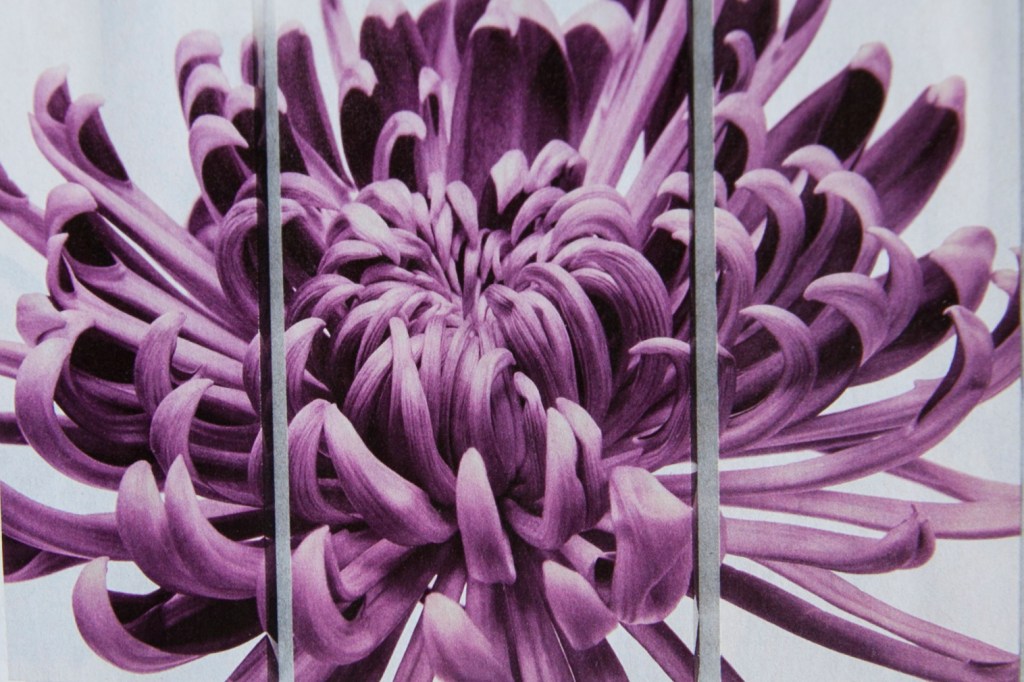 I saw this picture in the Grandinroad catalogue. I would love to do this with one of my images. I have ocean pictures or even one of the flower images I have. WHCC is an amazing company who could print a fabulous triptych like this for my house.