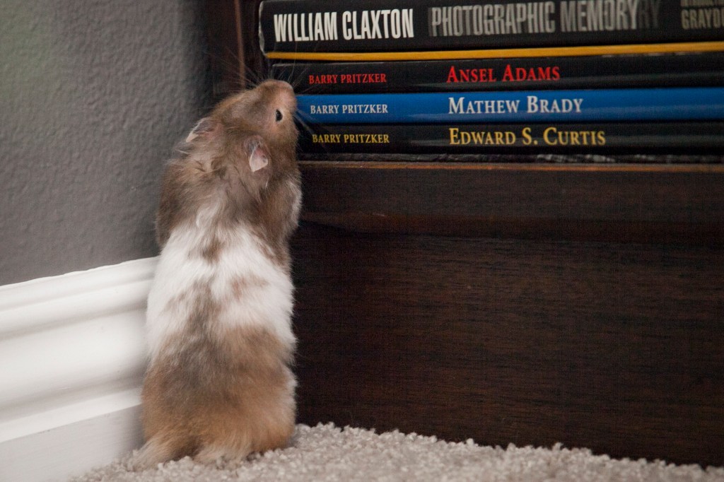 She reads about all the great photographers.