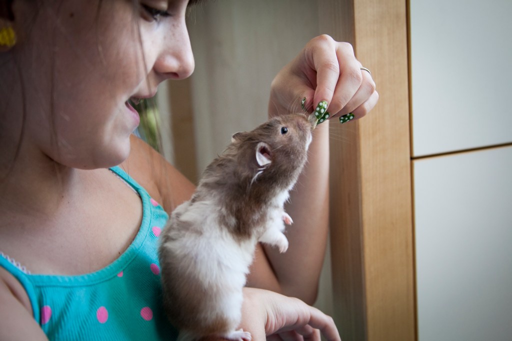 Tilly is very gentle when Emma hand feeds her. As the shoot goes on, you will see she was storing most of these snacks.