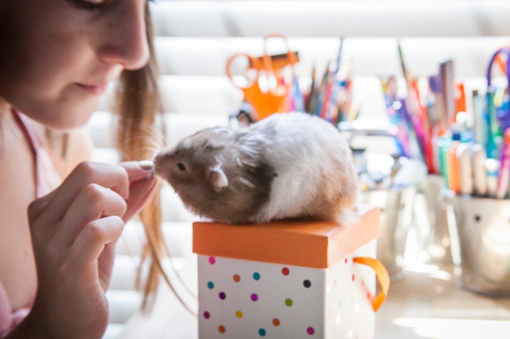 Just a girl and her hamster. I'm thankful Emma has a little friend she can love.