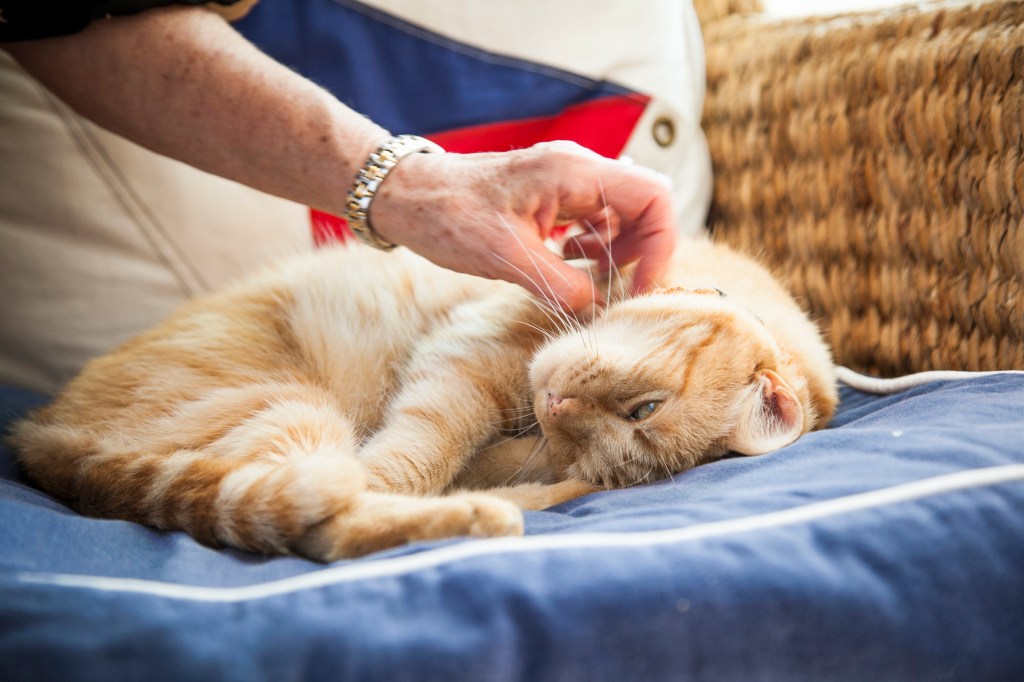 …and he is very loved.