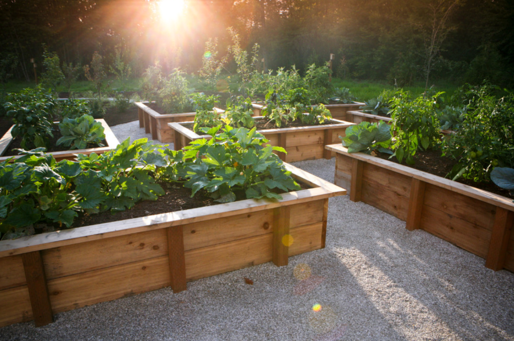 I plan to surround my "round conversation area" with these type of raised garden boxes. I want to grow food, flowers and pumpkins that I can decorate my ranch style wrap around porch with in the fall. See, I'm not kidding, I have some plans.