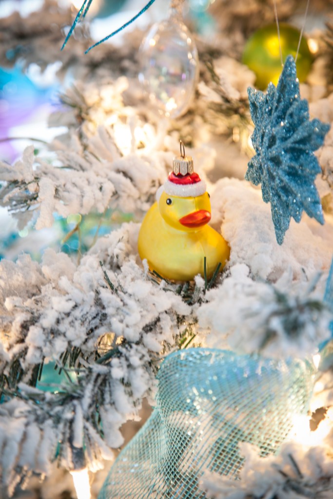 We bought this for Emma when she was born. For some reason we always bought her ducky objects and clothes when she was a baby. We even called her Lucky Ducky.