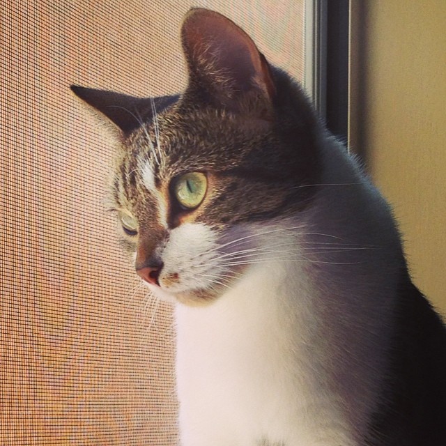 10370889_10204857691387497_8020746165388137081_n