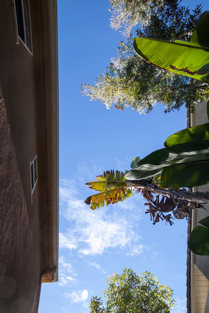 Often, after a workout I will lay on the ground and recover. I like seeing my house from there. Here is my view after a workout. Our houses are very close to our neighbors. This is one of many reasoned Steve and I want to buy acreage. 