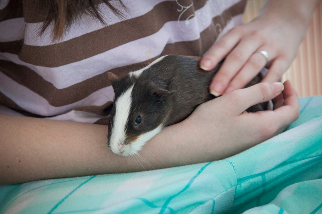 We believe these two are sisters. 