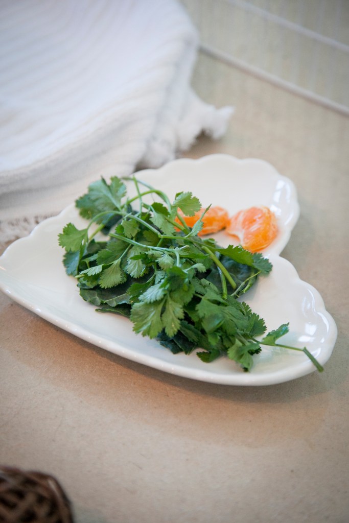 She's researched all the foods they can and cannot eat, of course.