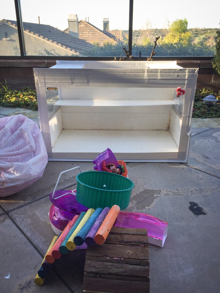 After having the closure we needed with Tilly, Steve and I broke down the cage I made for her and boxed up all the Hammy goods. Going thru her cabinet and throwing away all her stuff, seriously made me have a break down but I was glad that was the last of it. We've switched over to having fun remembering all the fun we had with her. 