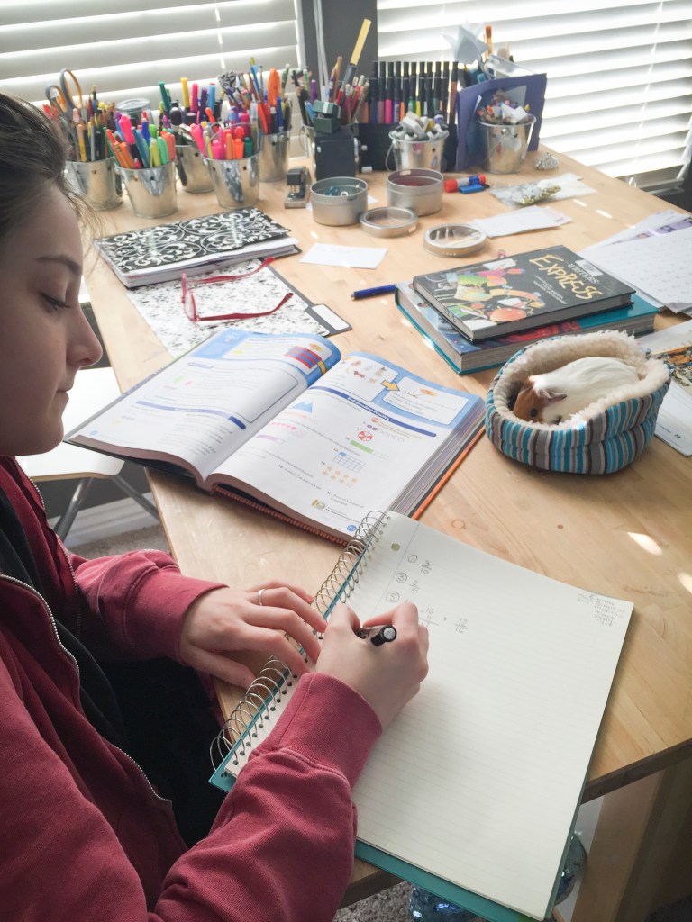 Keeping each other company during Emma's school hours. Shelby had some grief going on and just sat in this bed for several days. 