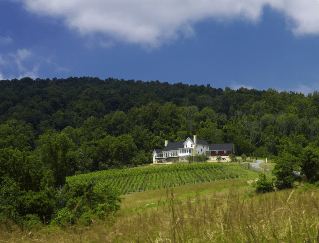 Lastly, I'm inspired by this image of a beautiful farm house. I don't need all of this, but I love the look and a baby version would be just fine for me. We have been in this limbo stage for going on 4 months and I feel like our ranch dreams are slipping away so I wanted to remind myself to keep my eye on the ball and to not give up on our big, long term plans. 
