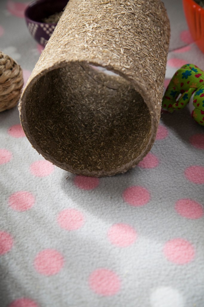 Alfalfa tube they love to run through.