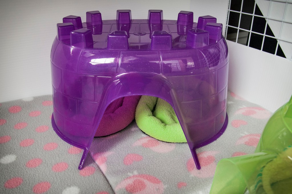 Here is one of the houses, we call them jello-molds, because when you look at the pigs in there they really do look like they are trapped in a jello mold. See their cute little princess beds in there? 