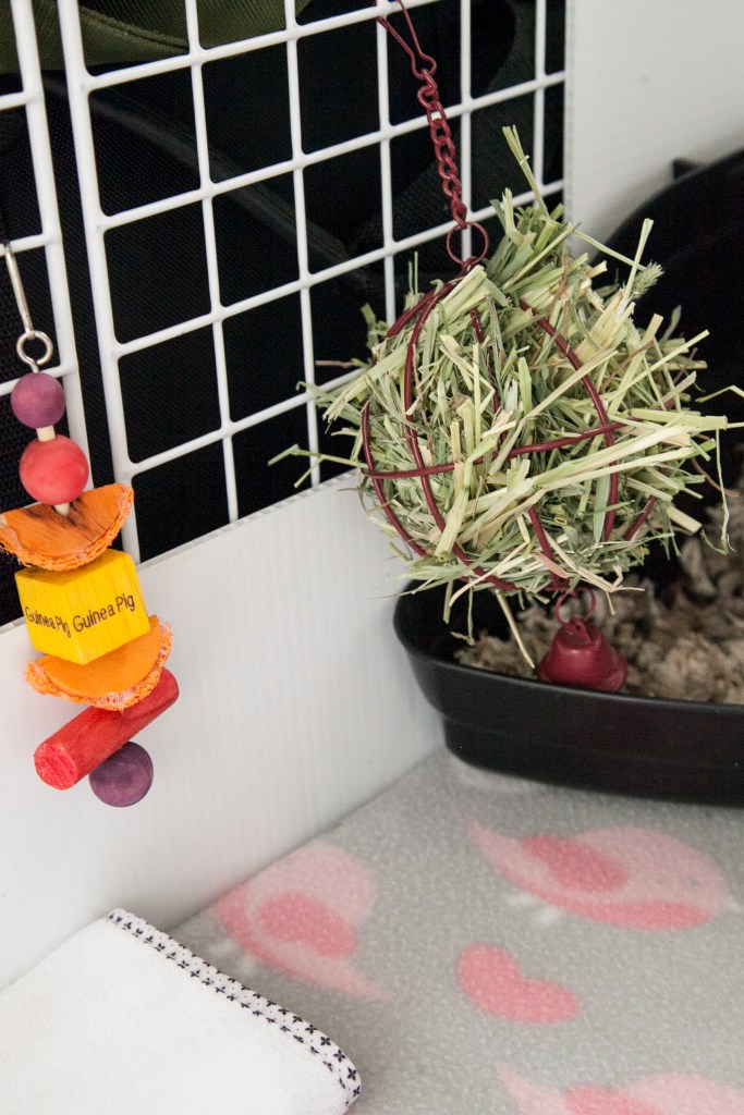 This is a toy they could care less about and a hay ball they are obsessed with.