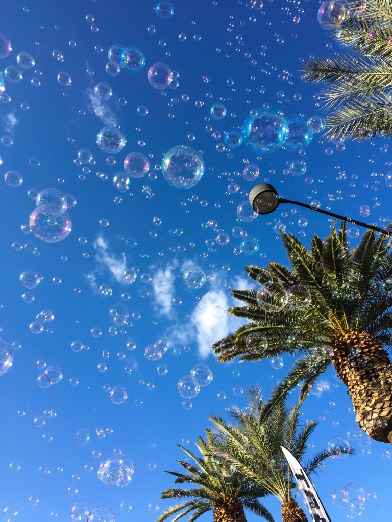 This is all I saw when we started the race. 