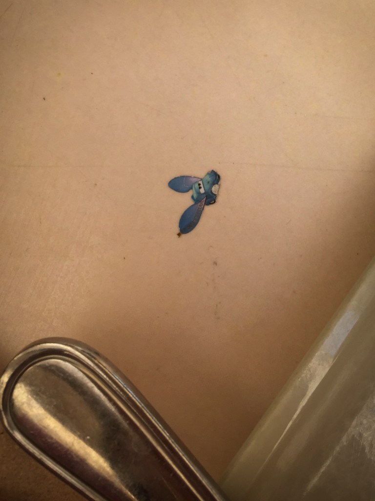 Then there are things like this that no one takes a picture of. In fact, my oldest daughter laughed at me when I showed her a picture of the sticker that was on our table at lunch...