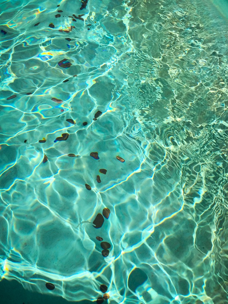 In love with the weird water on all the boat rides. This is what I see on the small world. Make a wish!