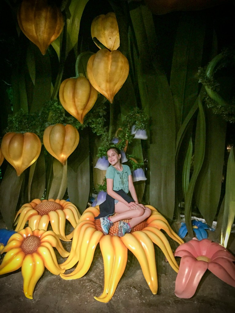 The last thing we did was check out Pixie Hollow. I've never seen it and it was empty, but we still had fun looking all all the lights and props for the pixies.