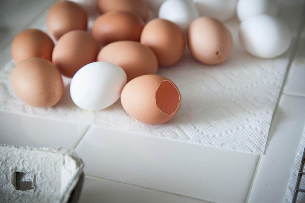 This poor egg broke when I blew the yolks out. 