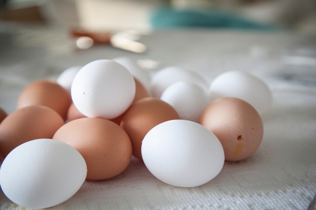 This year we decided to use white eggs and give the brown ones a try. I've seen them on other blogs and have bee really excited to make them.