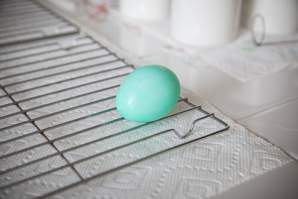 First egg of the day. Steve made this one. So cute.