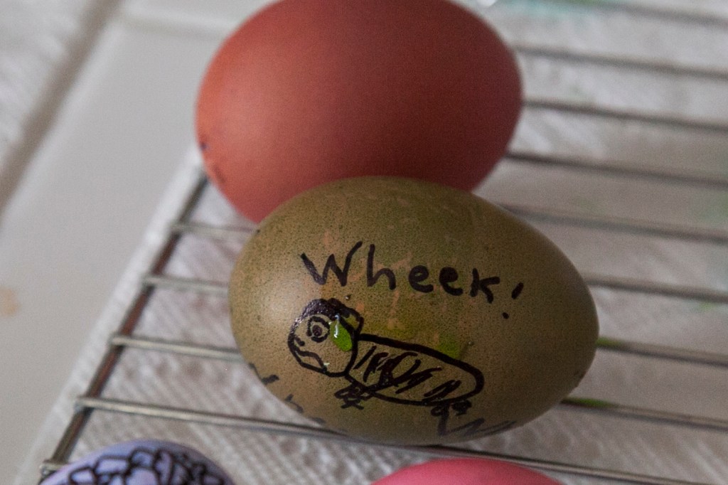 Of course, Emma makes a darling guinea pig egg...