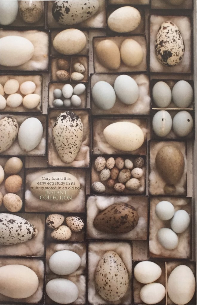 I really like the idea of natural tones with pops of blues, greens, and yellows in desaturated tones. Here it is, and how can I resist the eggs? I found this in a magazine, Matthew Mead Decorating. 