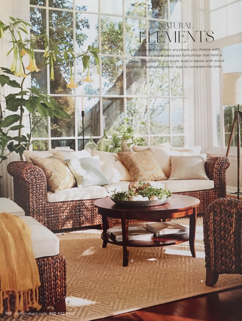 I love all the different textures in this image. We have the green outside and all the warmth inside. 