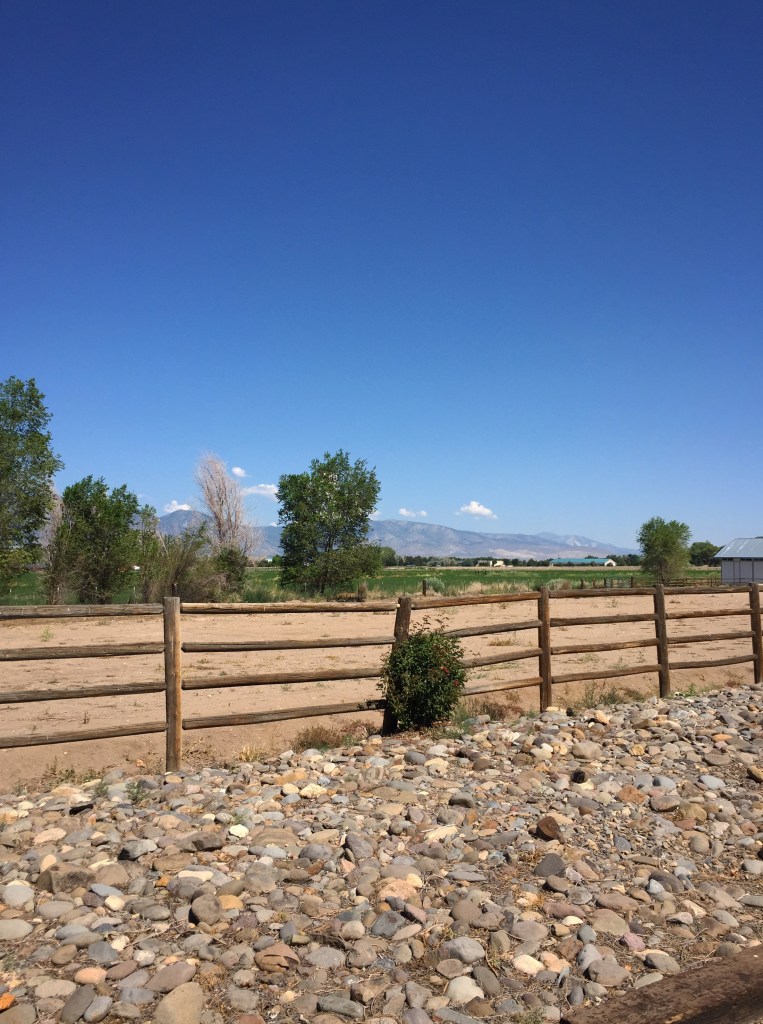 The Sierras from the property.
