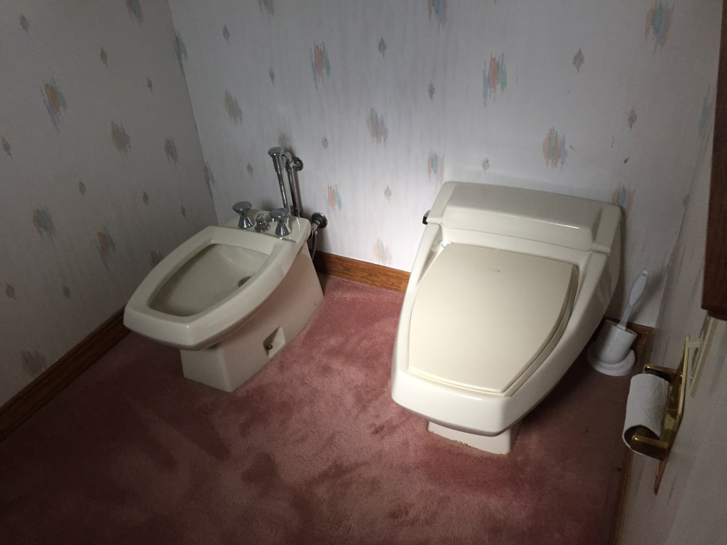 I had to leave this picture of the master bathroom toilets unedited. Don't you just love how the window light really shines on the toilet? Steve is a little terrified of this bathroom.