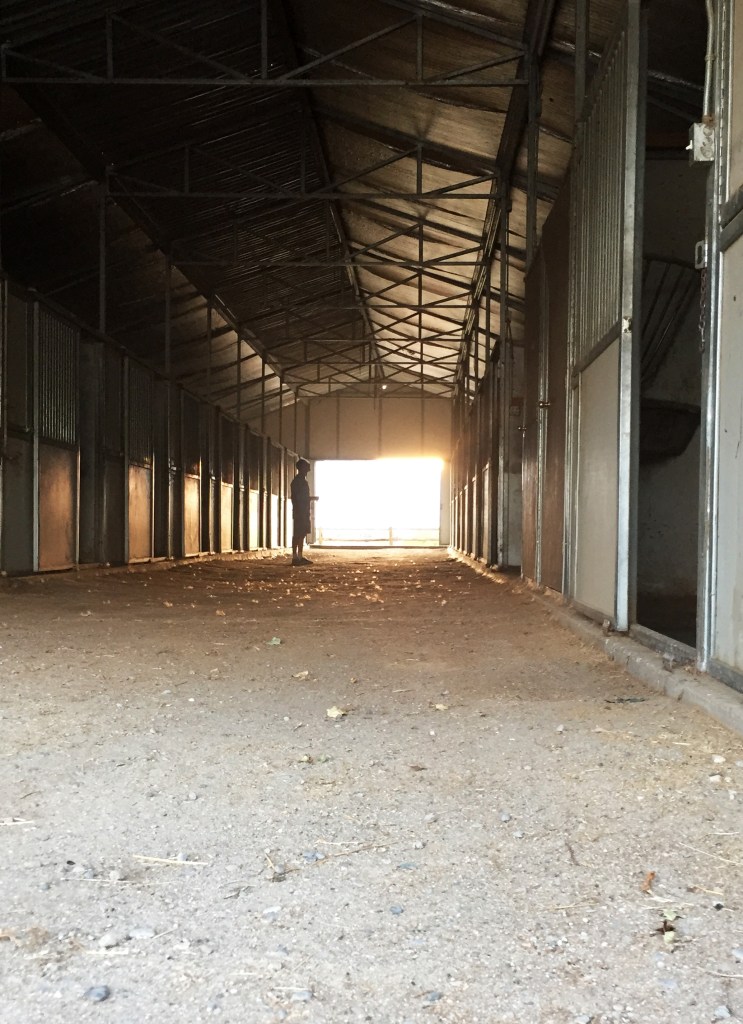 We walked through the barn and when we opened the doors to the setting sun and beautiful fields I started crying. I just can't believe we did this. Things this great just don't happen to us.