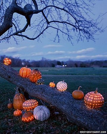I love these! http://www.architectureartdesigns.com/33-spoooky-halloween-outdoor-decorations/