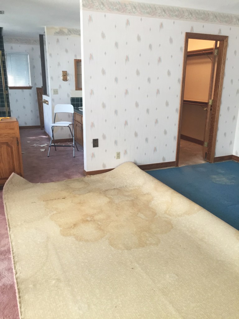 Pulling up the carpet revealing all the stains. I was glad to see there were not stains under where they had their bed... So glad.