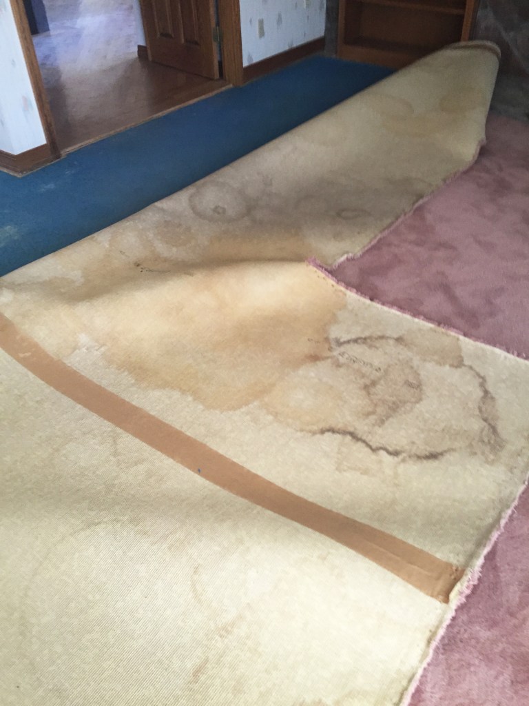 Really? So disgusting.