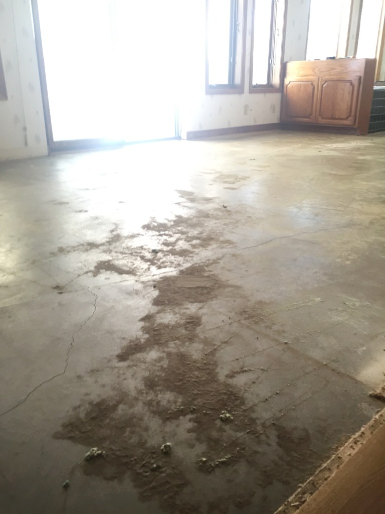 This is powdery, sandy dirt that was just piled under the carpet. All that dirt just laying under there, in a bedroom! Allergies much?