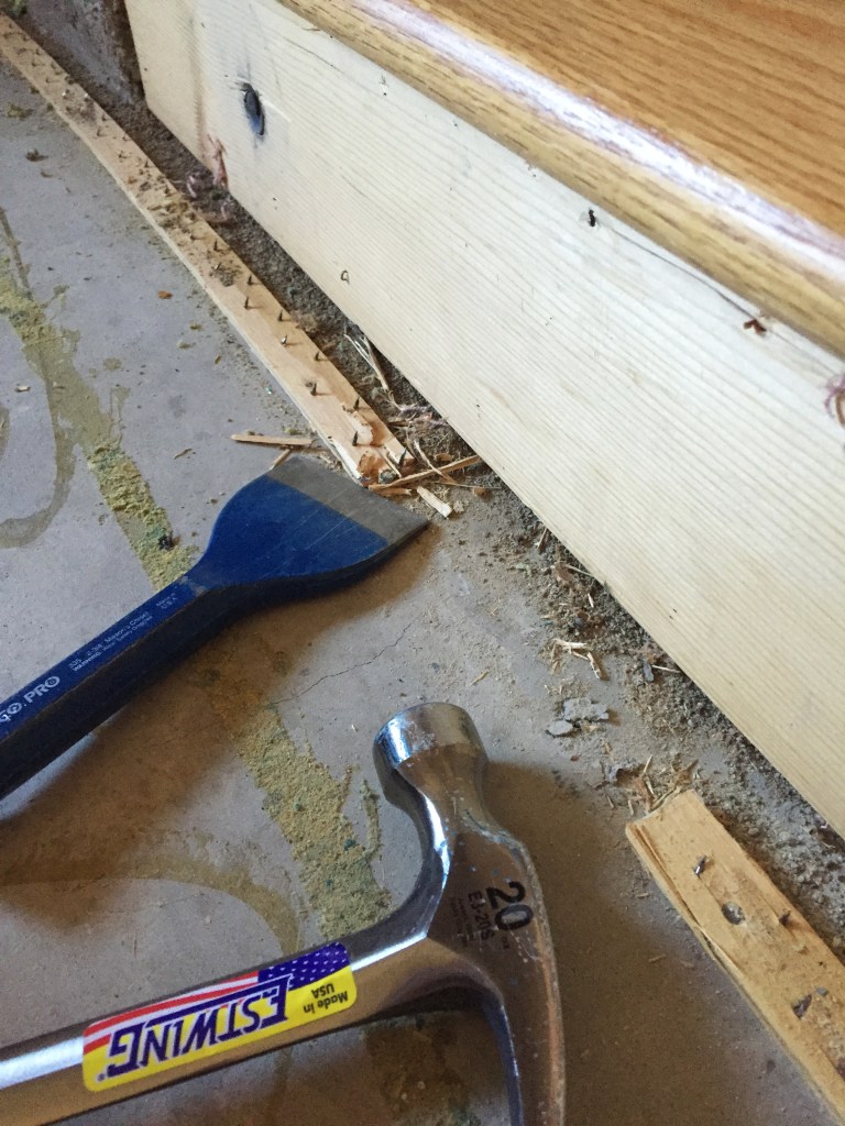 So, after hours of removing, cleaning and chiseling the boards off the floor, we had three rooms free of carpet. Now, on to the rest of the house.