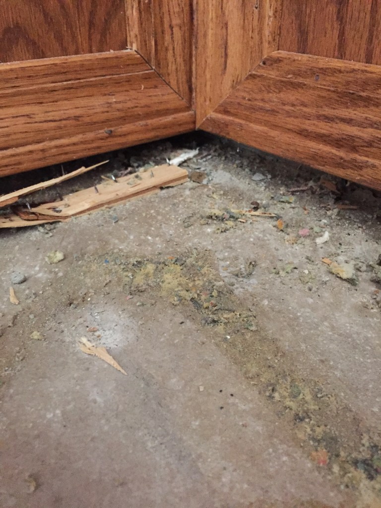 This is under the dining room base boards. There is no door in this room and people eat here... 