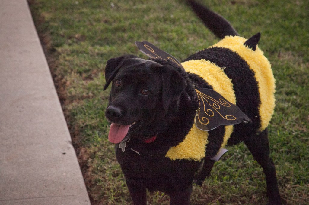 Emma's neighbor friend, Maggie.