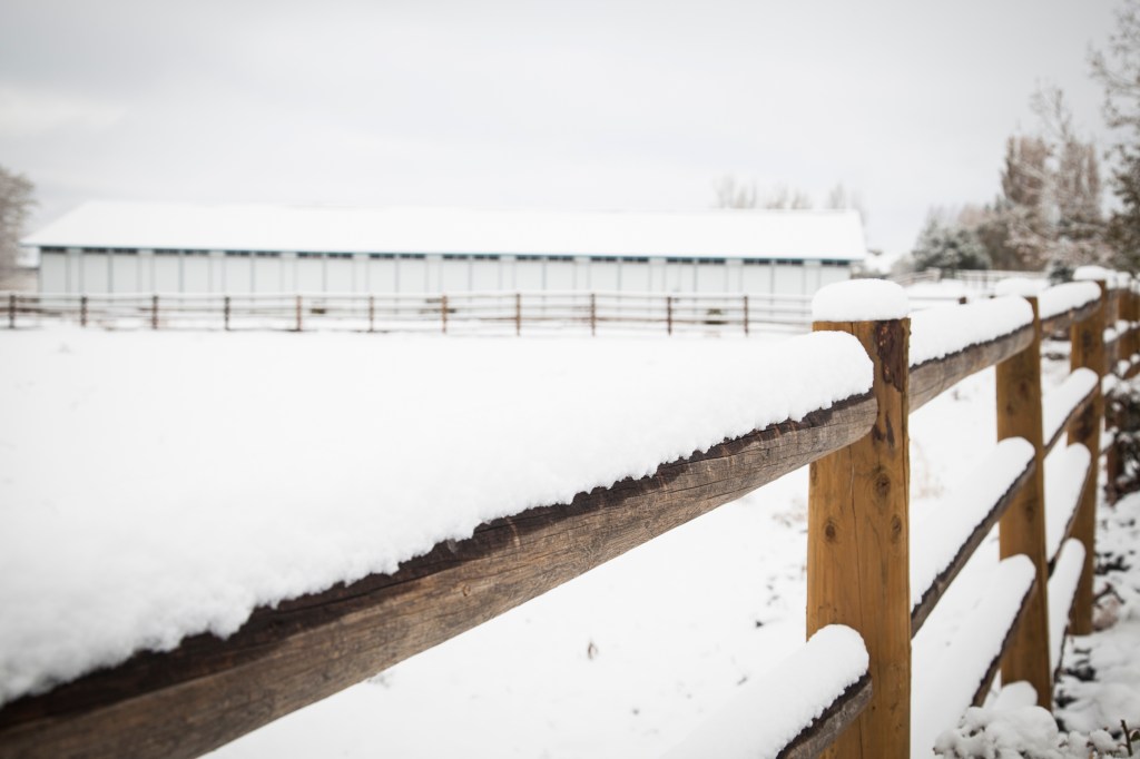 Looking over one of the corrals to the horse barn.