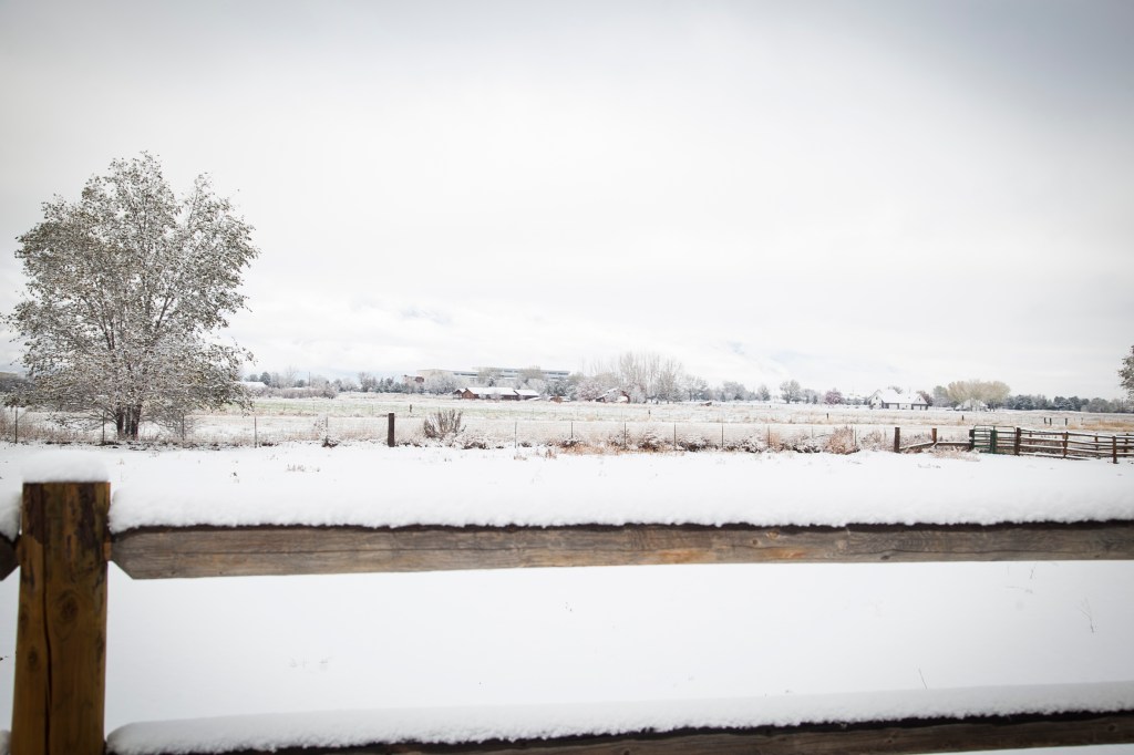 Looking out over our neighbohood.