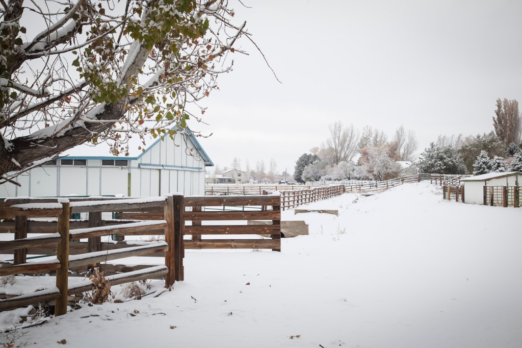 I could look at this all day.