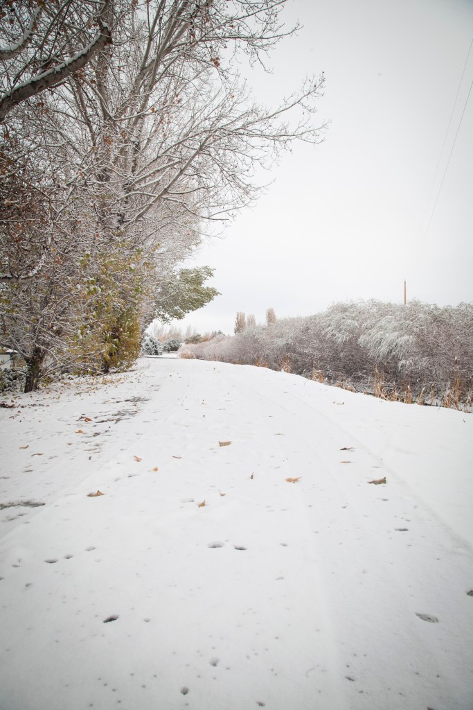 The drive behind our house.