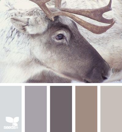 Right along the same lines as the other two. So soft and comforting. http://blogs.babycenter.com/products_and_prizes/11-beautiful-paint-palettes-inspired-by-winter/